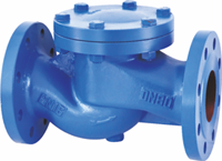 Lift Check Valve
