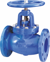 Globe Valve
