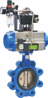 Lug Type Butterfly Valve