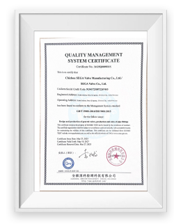 Quality Management System Certificate