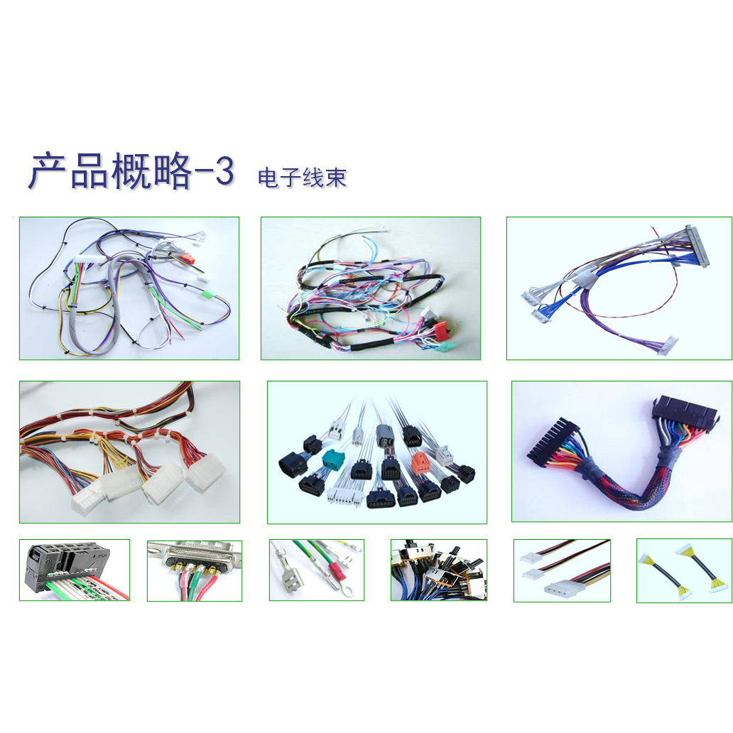 Electronic Wire Harness