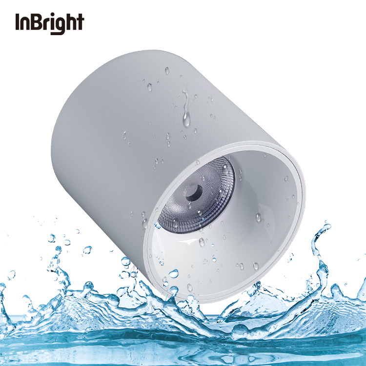 IBDL233 Surface mounted downlight-waterproof