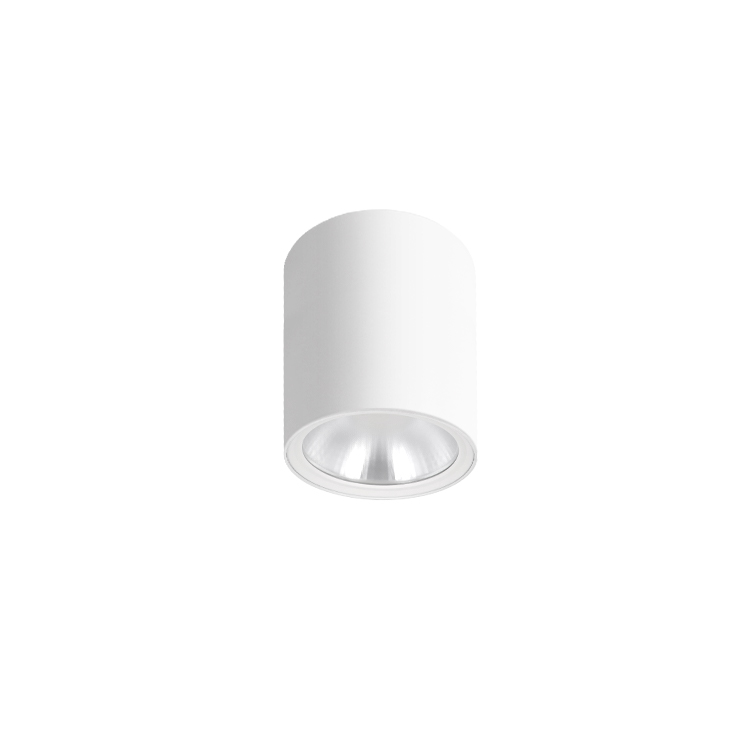 IBDL238 Surface mounted downlight New