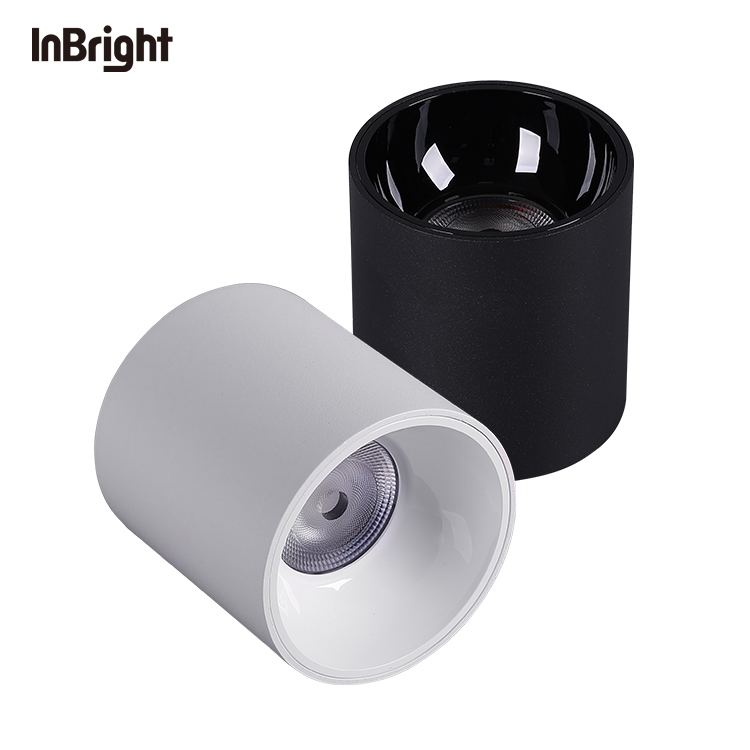 IBDL233 Surface mounted downlight-waterproof