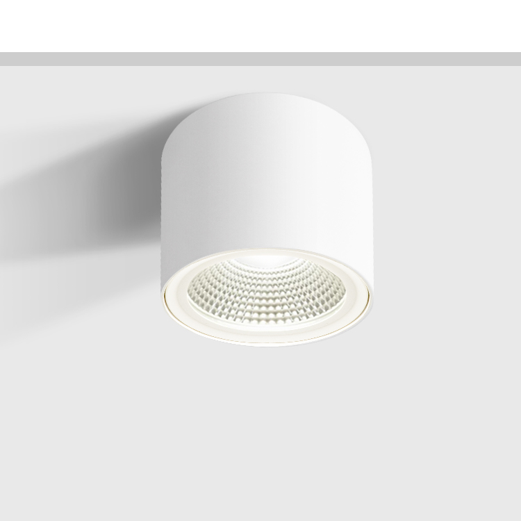 IBDL238 Surface mounted downlight New