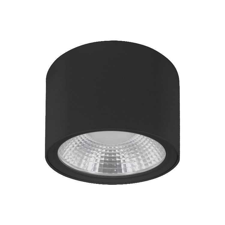 IBDL238 Surface mounted downlight New