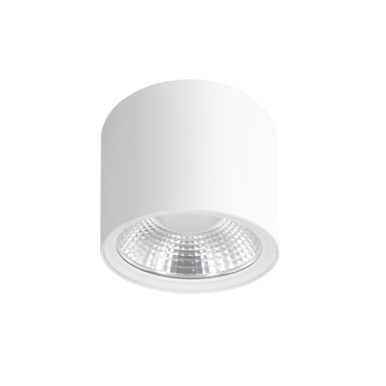 IBDL238 Surface mounted downlight New