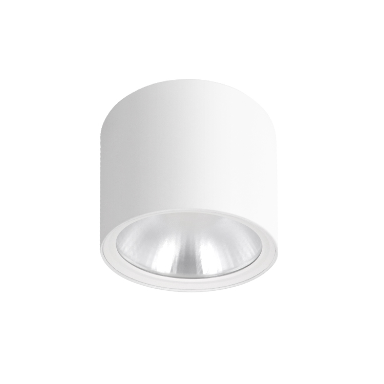 IBDL238 Surface mounted downlight New
