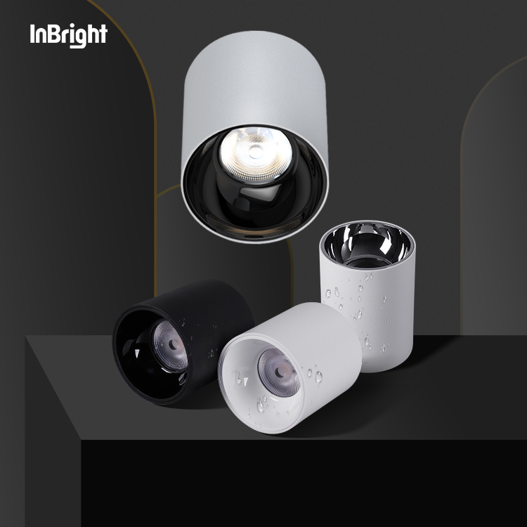 IBDL233 Surface mounted downlight-waterproof