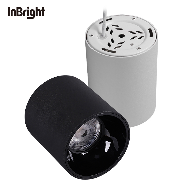 IBDL233 Surface mounted downlight-waterproof