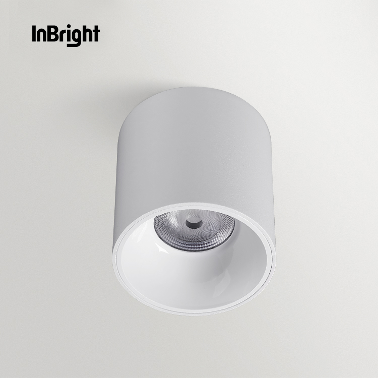 IBDL233 Surface mounted downlight-waterproof