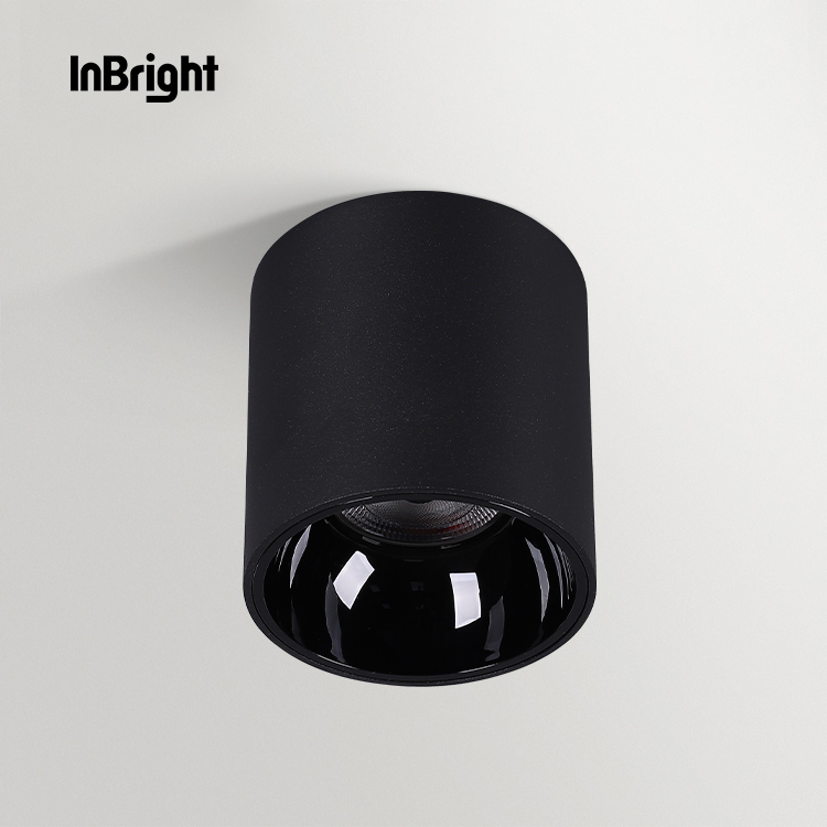 IBDL233 Surface mounted downlight-waterproof