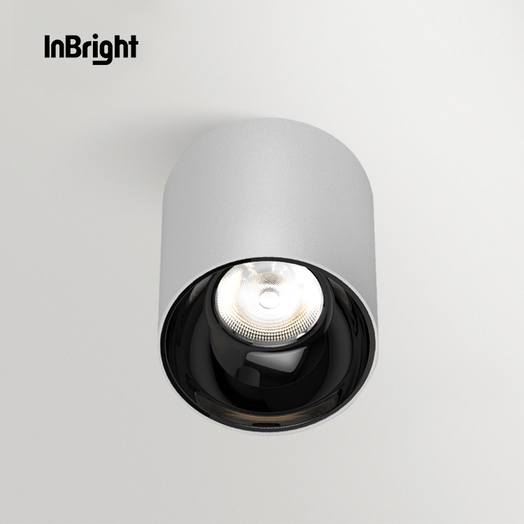 IBDL233 Surface mounted downlight-waterproof