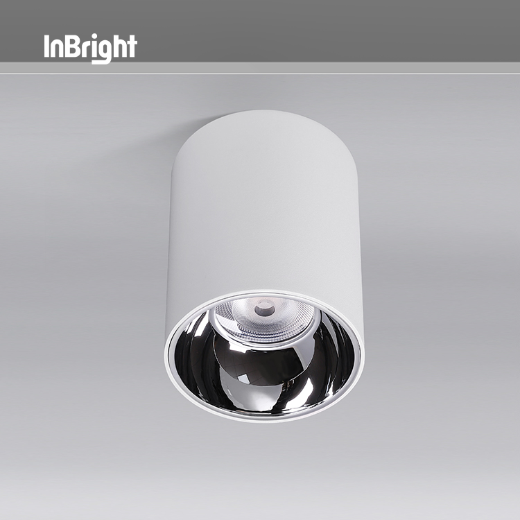 IBDL233 Surface mounted downlight-waterproof