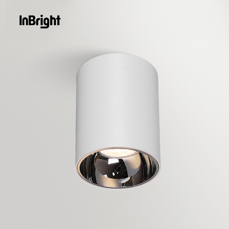 IBDL233 Surface mounted downlight-waterproof