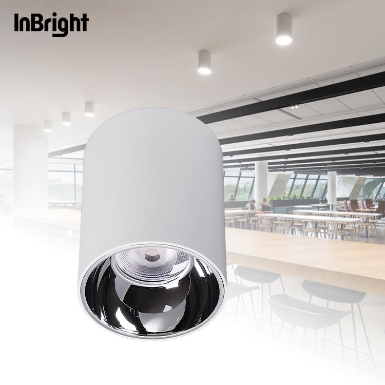 IBDL233 Surface mounted downlight-waterproof