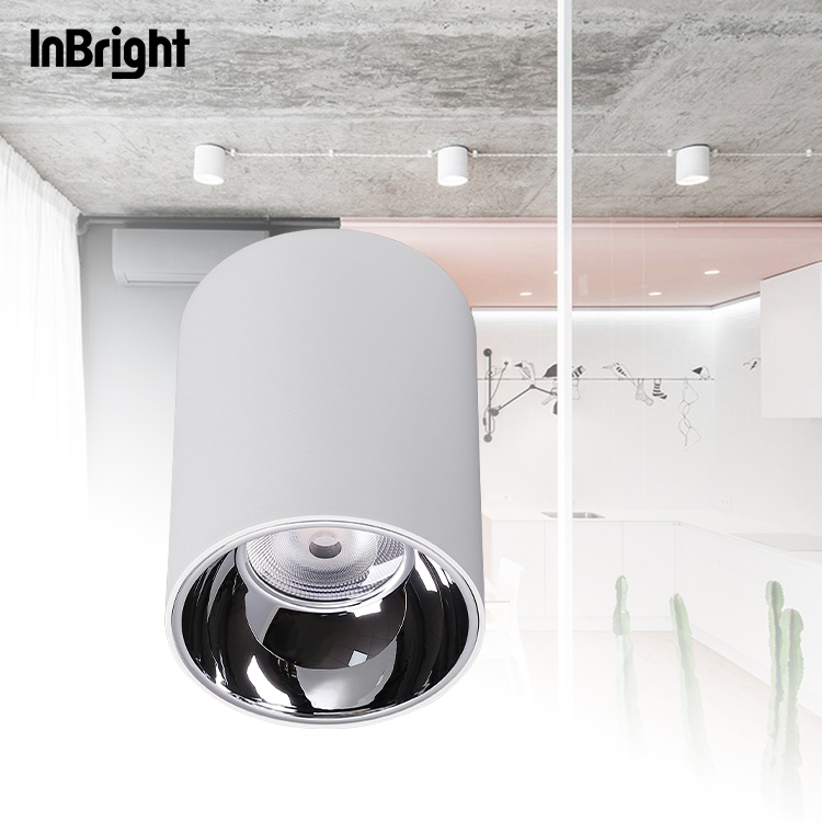 IBDL233 Surface mounted downlight-waterproof