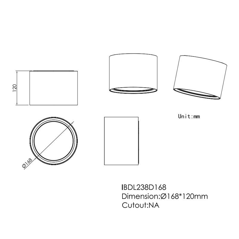 IBDL238 Surface mounted downlight New