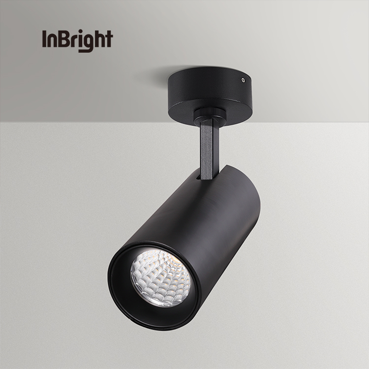 IBDL235 Surface mounted ceiling spotlight