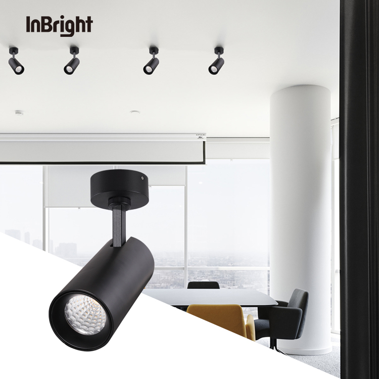 IBDL235 Surface mounted ceiling spotlight