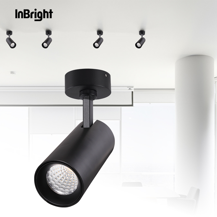IBDL235 Surface mounted ceiling spotlight