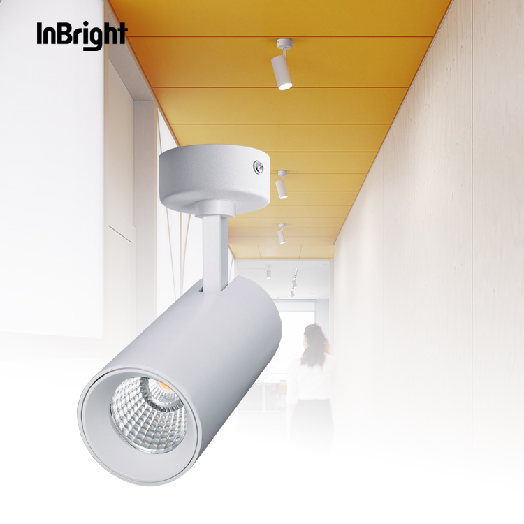 IBDL235 Surface mounted ceiling spotlight