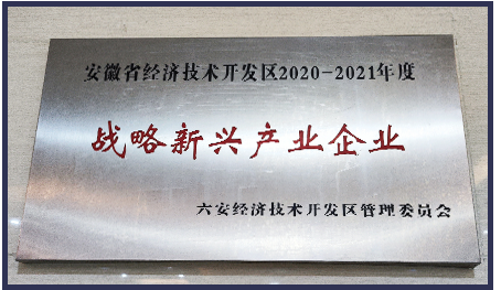 
	战略新兴企业
