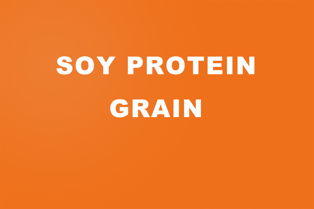 Soy Protein Grain