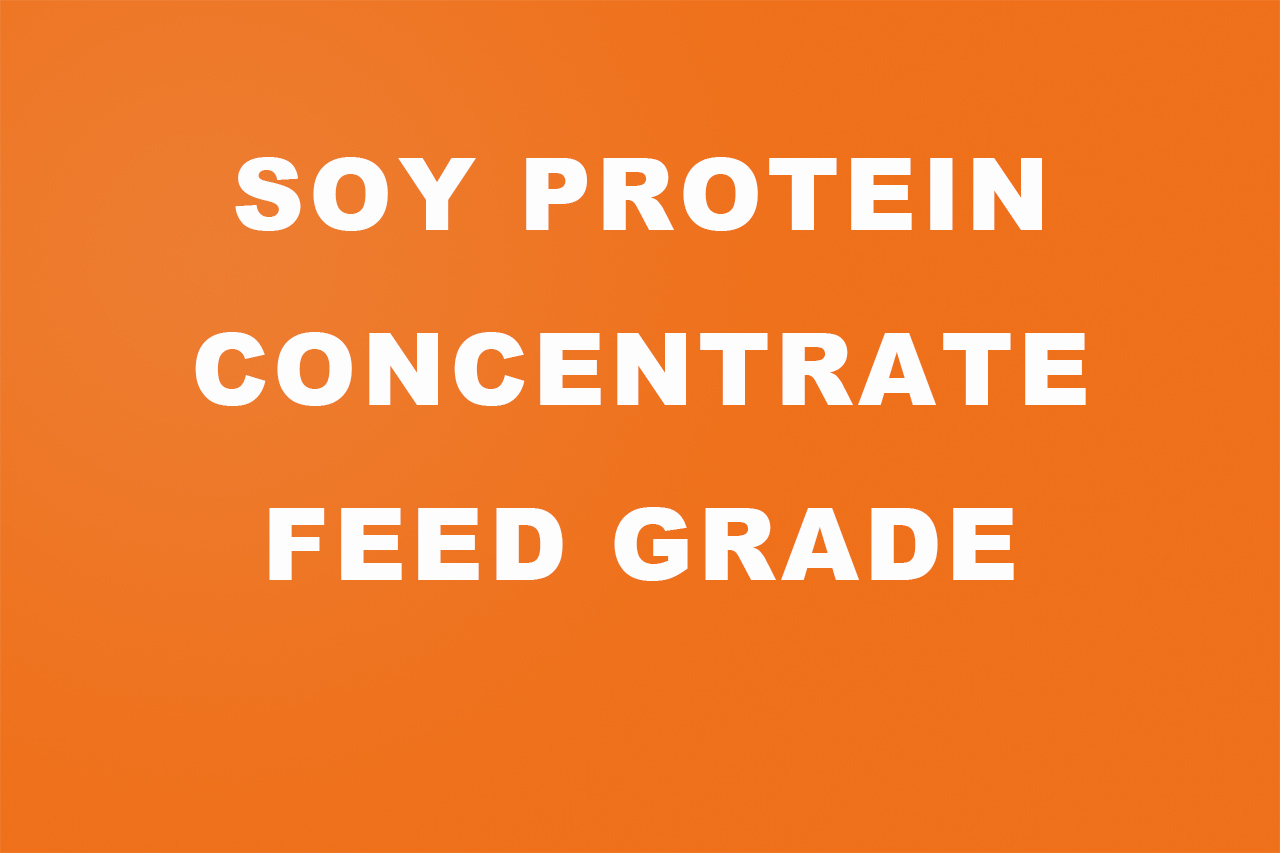 Soy Protein Concentrate feed grade