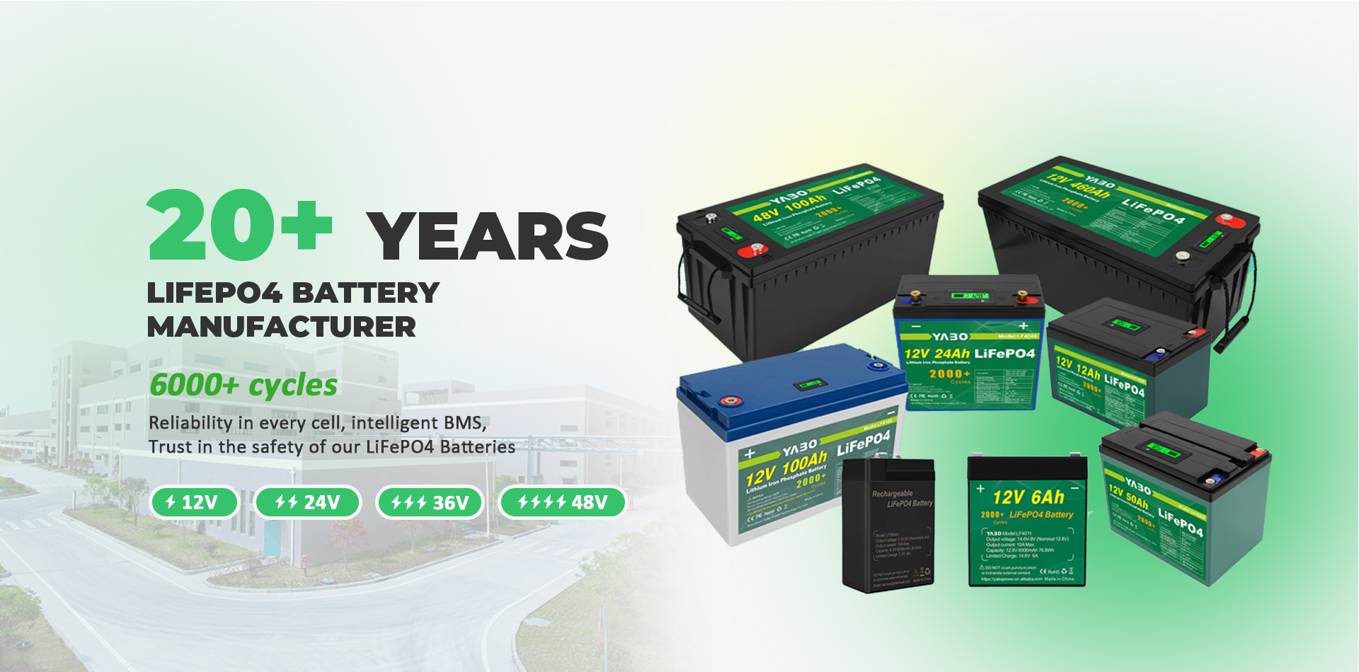 Long-Lasting LiFePO4 Battery for Energy Storage &amp; EV