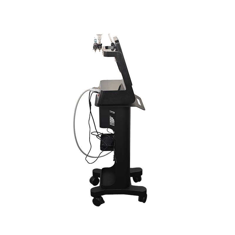 3 In 1 Cold Plasma Arc Fibroblast Skin Tightening Beauty Cold Clinic Plasma Therapy With Plasma 0zone Needleroller Purple Light