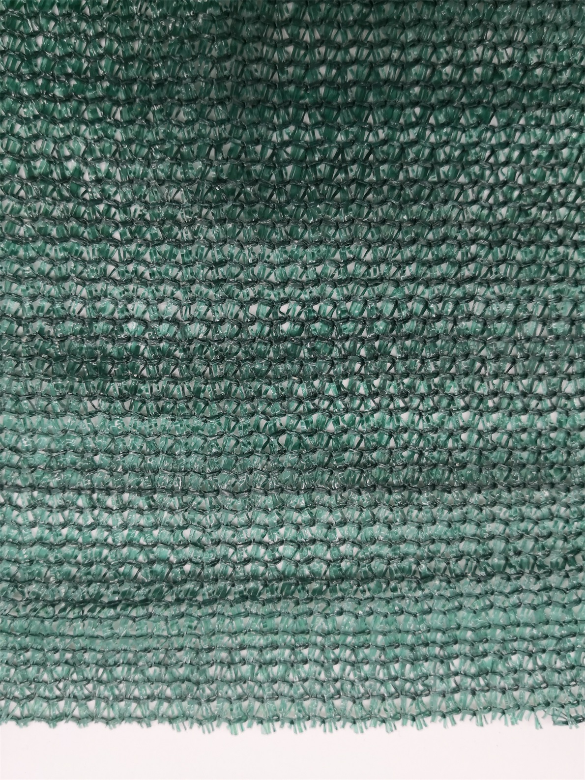 Blackish Geen Shade Netting(6 Needle)