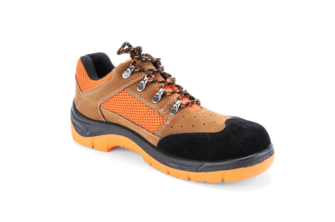 STPED004