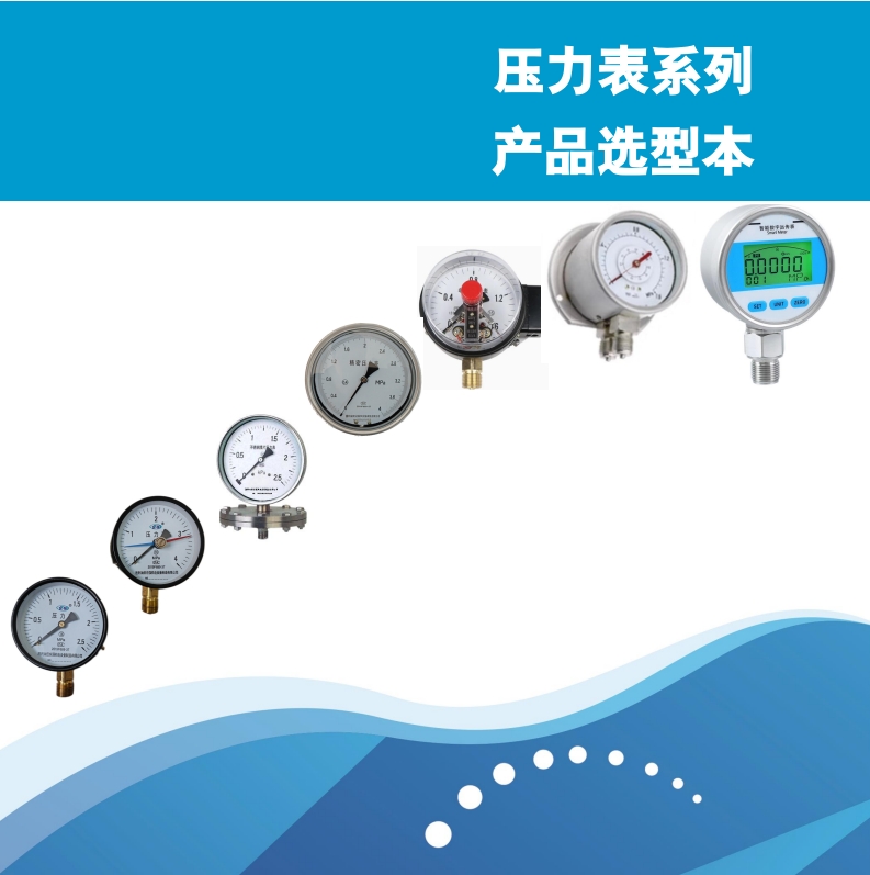壓力表產(chǎn)品系列選型表