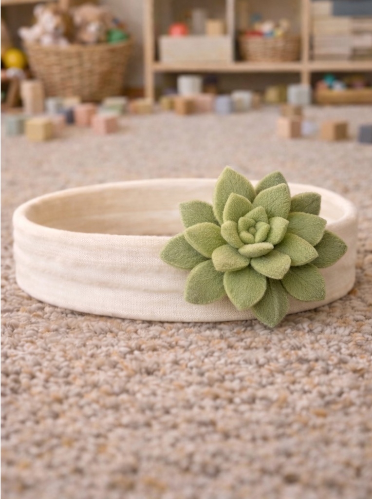 Bandeau bébé succulent chic – séduisant pour les acheteurs B2B