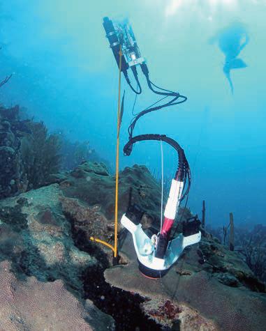 珊瑚原位呼吸代谢测量仪