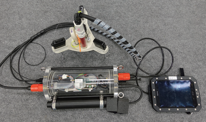 珊瑚代谢特性及耐温耐盐性研究