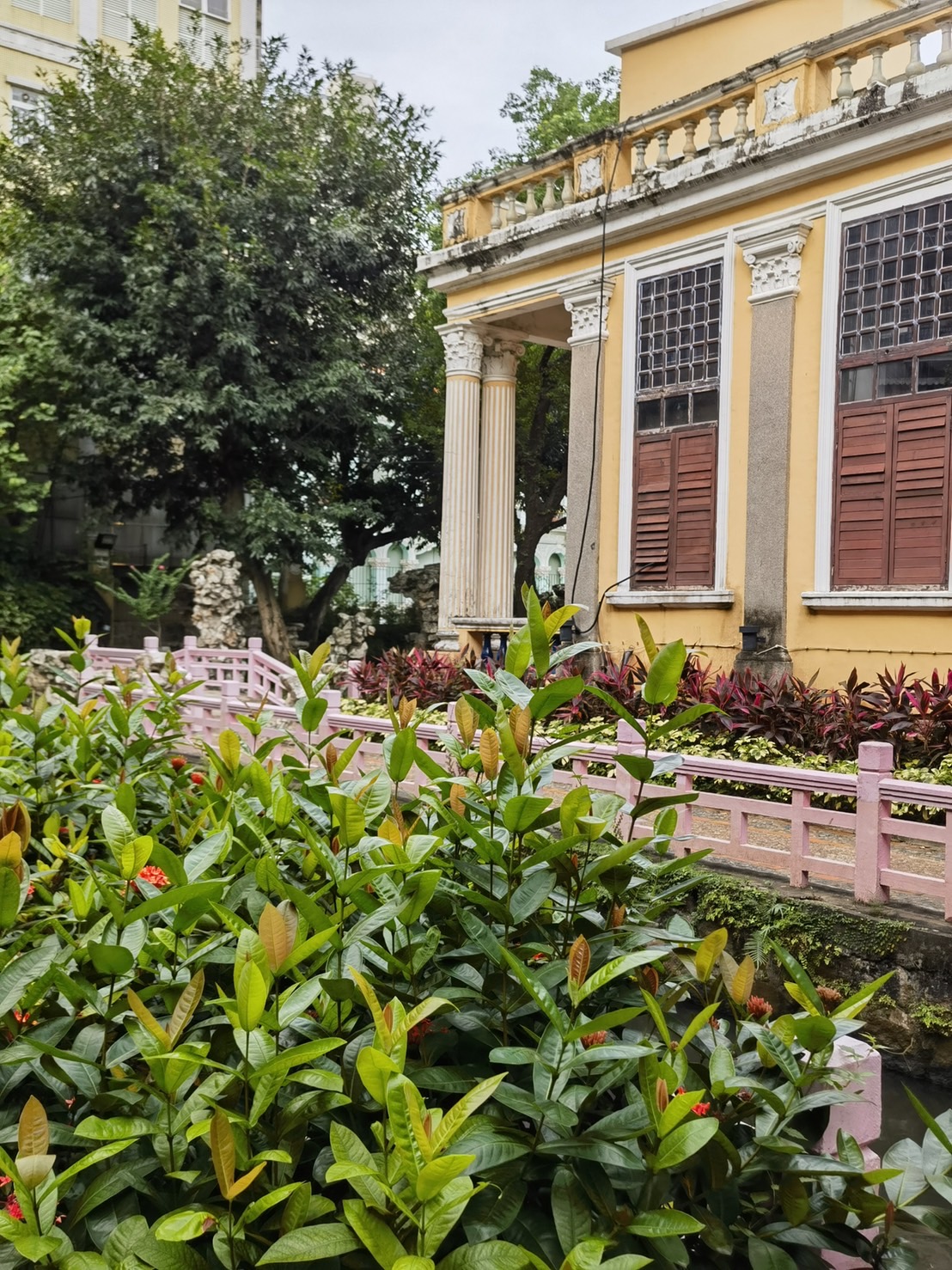 《盧廉若公園的魚》