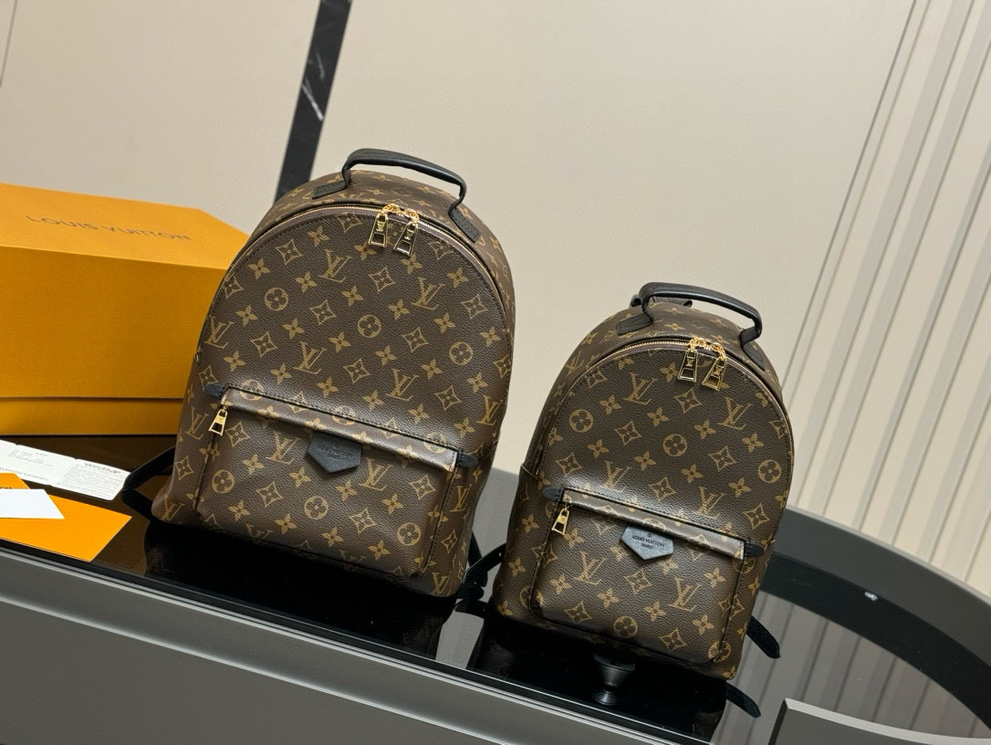 LV bag