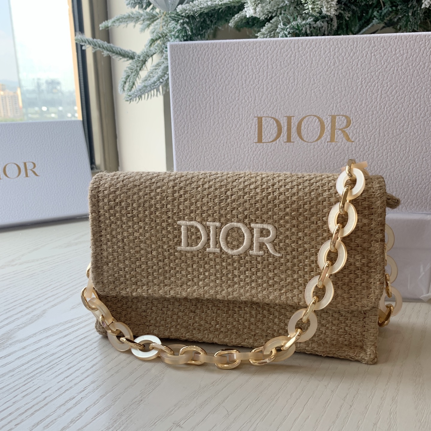 dior bag