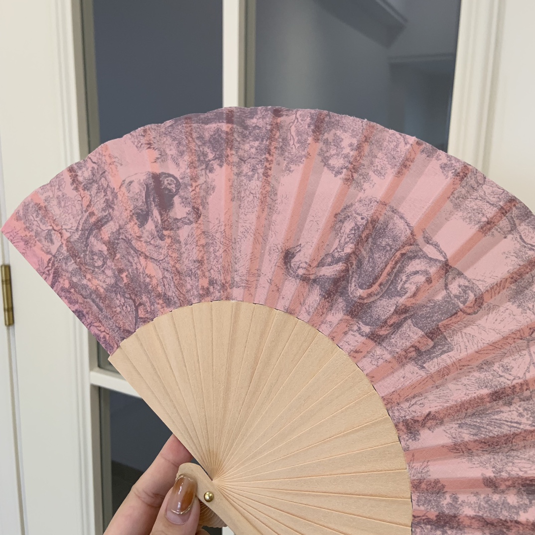 dior fans