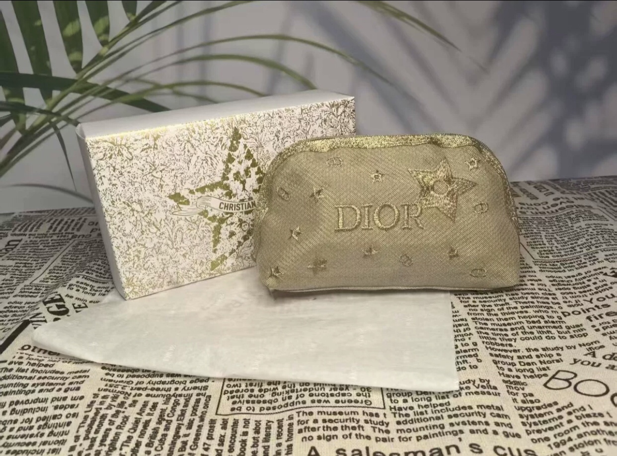 Dior makeup bag