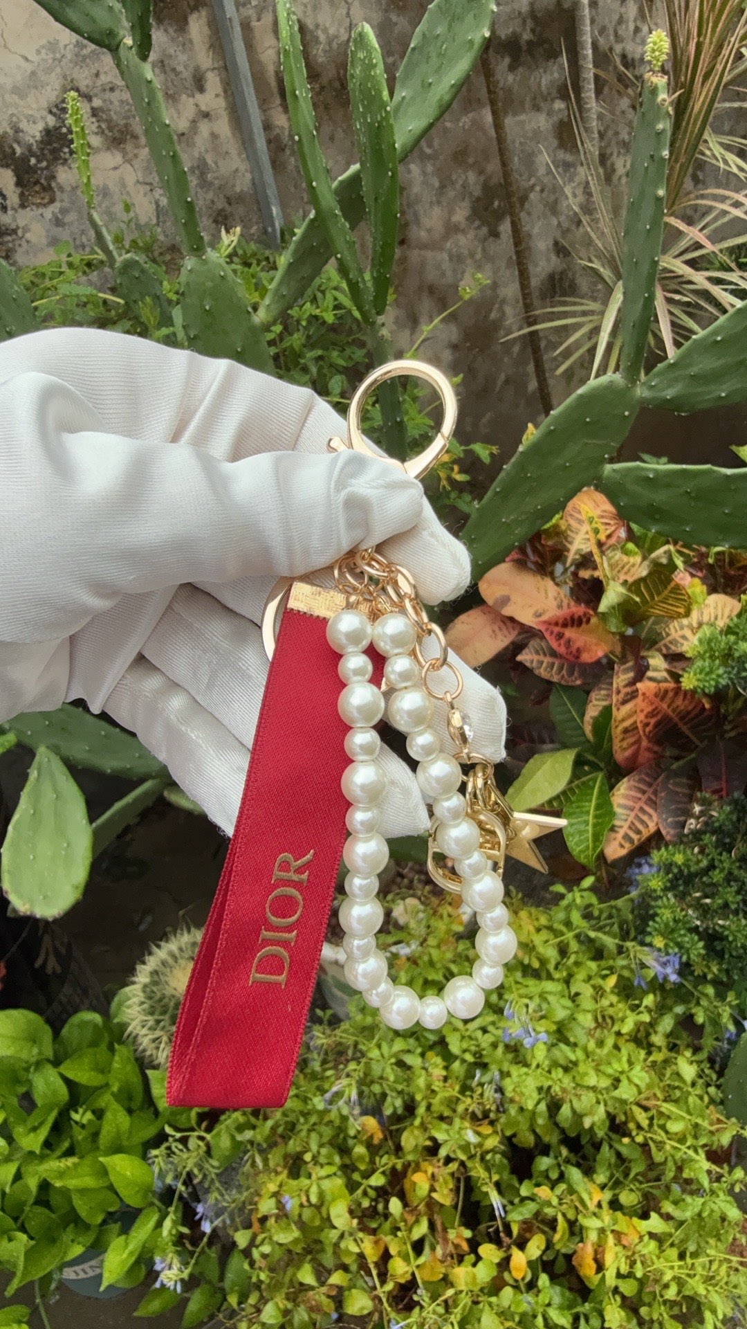 dior kaychain