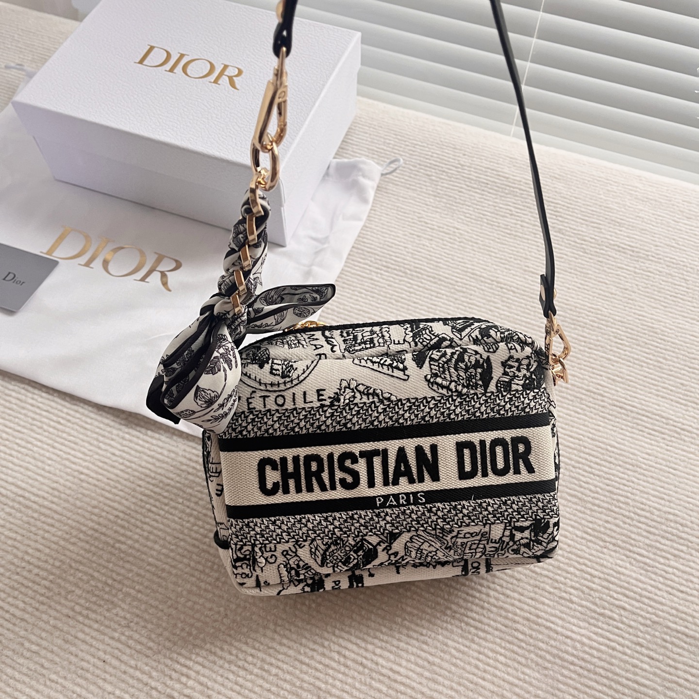 dior bag