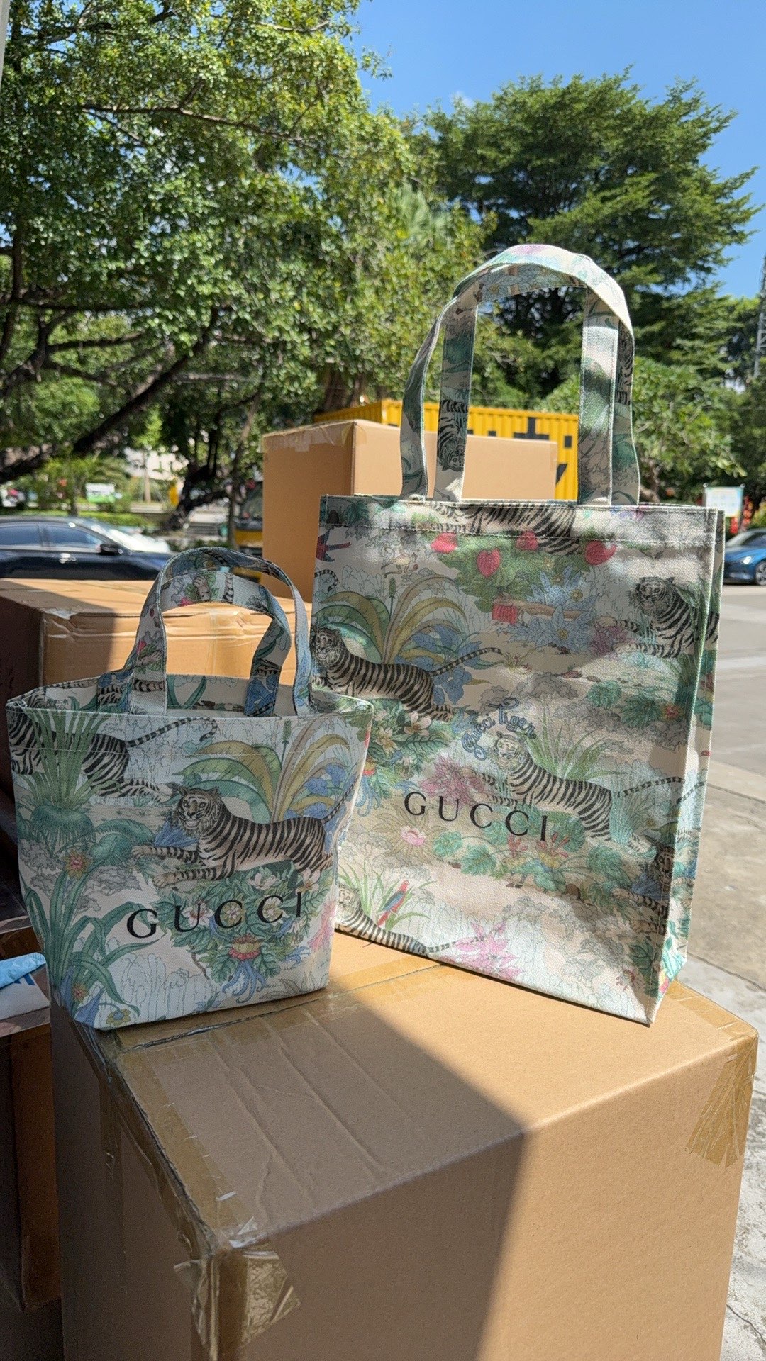 gucci bag