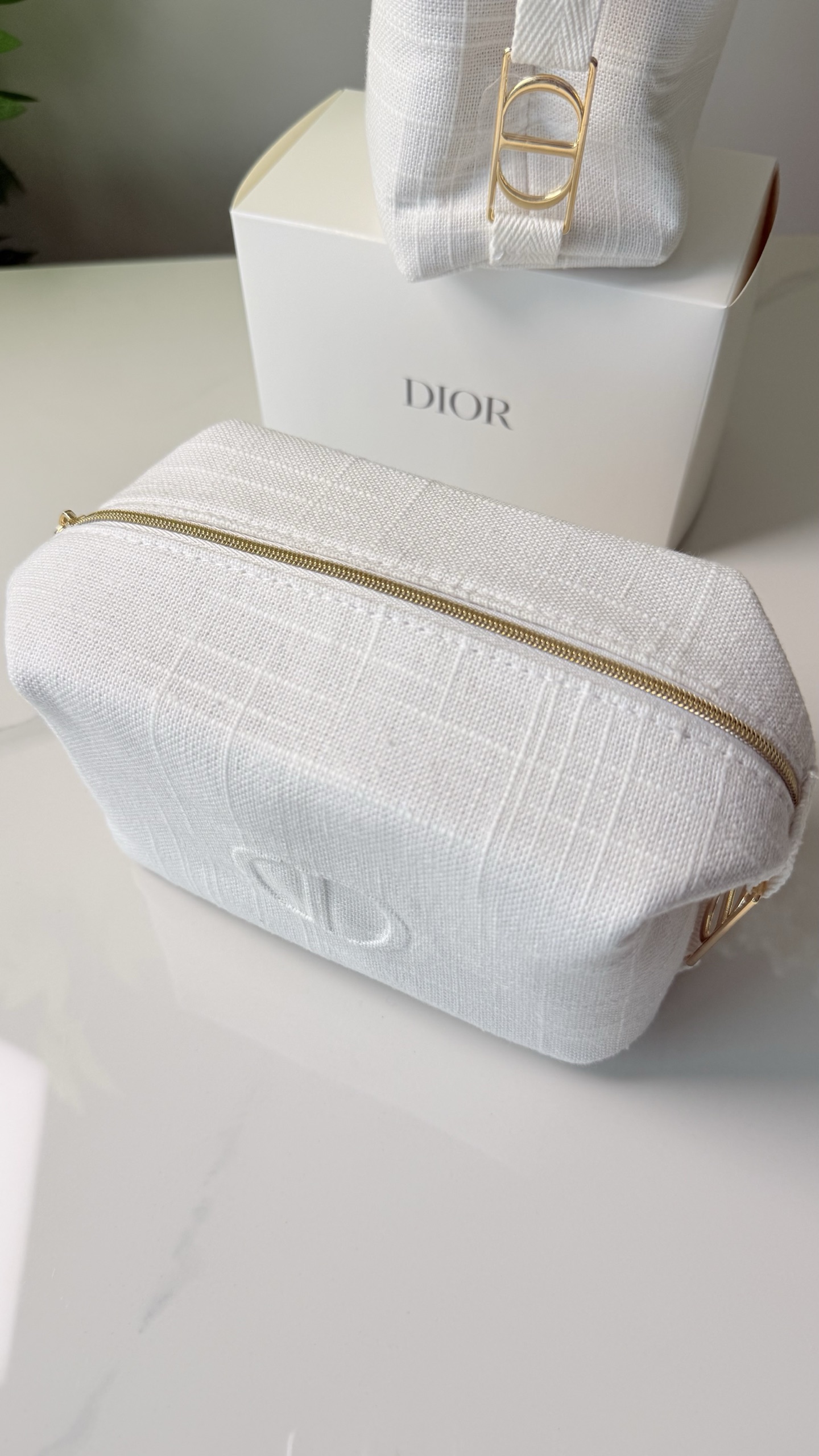 dior bag