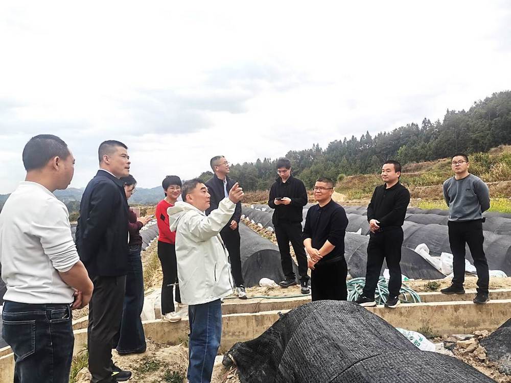 福建省農業農村廳高標准農田處領導視察「台青農地」專項建設情況