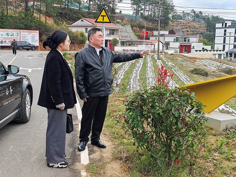 共青團上杭縣委書記親臨“台青農場”調研開展服務鄉村振興