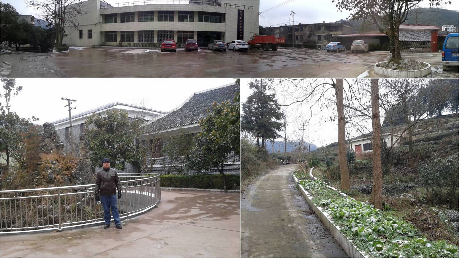 記湄潭茶聖地之一步，從民國中央實驗舊茶場出發