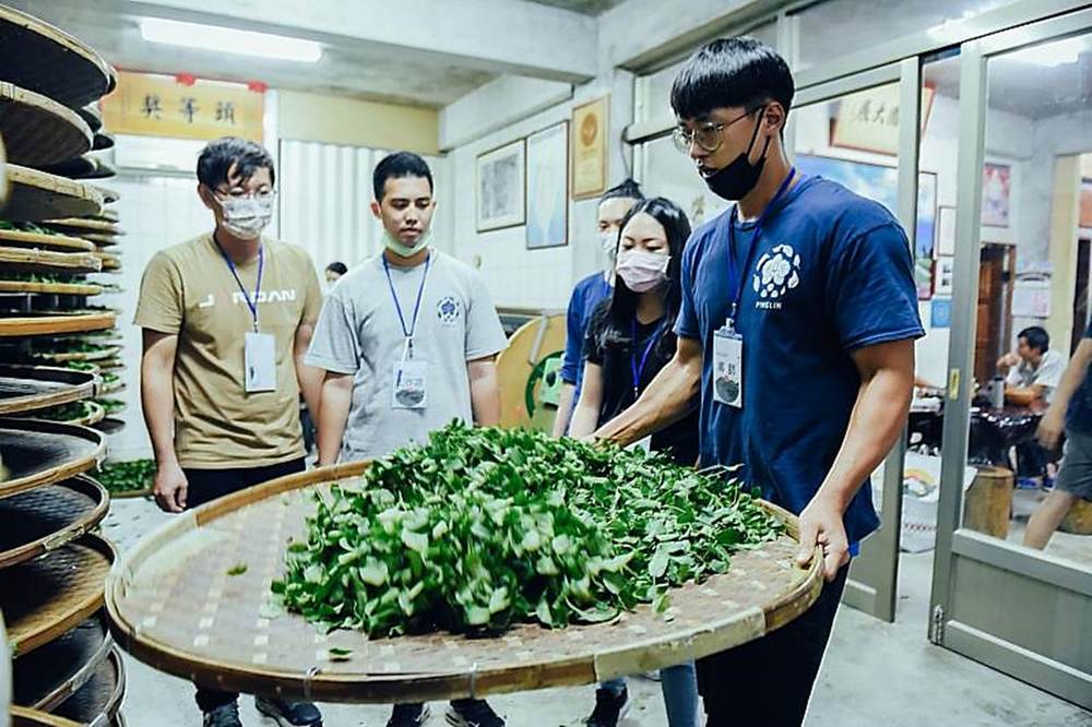 年節大餐配國際金獎茶 坪林青年傳承茶鄉文化